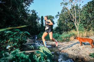 BIB: 
                            <button type="button" onclick="openModal(25481481)" class="btn btn-primary btn-sm float-right btn-popup" data-toggle="modal" data-target=".modal-high-quality">
                        <i class="fas fa-shopping-cart"></i> Add to Cart
                    </button>
                                            <button type="button" onclick="isThisMe(25481481, true)" class="btn btn-success btn-sm float-right btn-popup btn-isme hidden" data-toggle="tooltip" data-placement="bottom" title="นี่คือรูปของคุณใช่ไหม คลิกที่นี่เพื่อเอาเข้าอัลบั้ม">
                        <i class="fas fa-plus"></i> Add to album
                    </button>
                    <button type="button" onclick="isThisMe(25481481, false)" class="btn btn-warning btn-sm float-right btn-popup btn-isnotme hidden">
                        <i class="fas fa-ban"></i> Remove from album
                    </button>