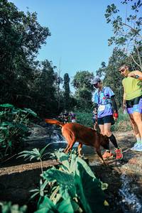 BIB: 
                            <button type="button" onclick="openModal(25623360)" class="btn btn-primary btn-sm float-right btn-popup" data-toggle="modal" data-target=".modal-high-quality">
                        <i class="fas fa-shopping-cart"></i> Add to Cart
                    </button>
                                            <button type="button" onclick="isThisMe(25623360, true)" class="btn btn-success btn-sm float-right btn-popup btn-isme hidden" data-toggle="tooltip" data-placement="bottom" title="นี่คือรูปของคุณใช่ไหม คลิกที่นี่เพื่อเอาเข้าอัลบั้ม">
                        <i class="fas fa-plus"></i> Add to album
                    </button>
                    <button type="button" onclick="isThisMe(25623360, false)" class="btn btn-warning btn-sm float-right btn-popup btn-isnotme hidden">
                        <i class="fas fa-ban"></i> Remove from album
                    </button>