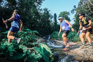 BIB: 
                            <button type="button" onclick="openModal(25495991)" class="btn btn-primary btn-sm float-right btn-popup" data-toggle="modal" data-target=".modal-high-quality">
                        <i class="fas fa-shopping-cart"></i> Add to Cart
                    </button>
                                            <button type="button" onclick="isThisMe(25495991, true)" class="btn btn-success btn-sm float-right btn-popup btn-isme hidden" data-toggle="tooltip" data-placement="bottom" title="นี่คือรูปของคุณใช่ไหม คลิกที่นี่เพื่อเอาเข้าอัลบั้ม">
                        <i class="fas fa-plus"></i> Add to album
                    </button>
                    <button type="button" onclick="isThisMe(25495991, false)" class="btn btn-warning btn-sm float-right btn-popup btn-isnotme hidden">
                        <i class="fas fa-ban"></i> Remove from album
                    </button>