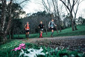 BIB: 
                            <button type="button" onclick="openModal(25225379)" class="btn btn-primary btn-sm float-right btn-popup" data-toggle="modal" data-target=".modal-high-quality">
                        <i class="fas fa-shopping-cart"></i> Add to Cart
                    </button>
                                            <button type="button" onclick="isThisMe(25225379, true)" class="btn btn-success btn-sm float-right btn-popup btn-isme hidden" data-toggle="tooltip" data-placement="bottom" title="นี่คือรูปของคุณใช่ไหม คลิกที่นี่เพื่อเอาเข้าอัลบั้ม">
                        <i class="fas fa-plus"></i> Add to album
                    </button>
                    <button type="button" onclick="isThisMe(25225379, false)" class="btn btn-warning btn-sm float-right btn-popup btn-isnotme hidden">
                        <i class="fas fa-ban"></i> Remove from album
                    </button>