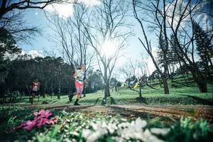 BIB: 
                            <button type="button" onclick="openModal(25228132)" class="btn btn-primary btn-sm float-right btn-popup" data-toggle="modal" data-target=".modal-high-quality">
                        <i class="fas fa-shopping-cart"></i> Add to Cart
                    </button>
                                            <button type="button" onclick="isThisMe(25228132, true)" class="btn btn-success btn-sm float-right btn-popup btn-isme hidden" data-toggle="tooltip" data-placement="bottom" title="นี่คือรูปของคุณใช่ไหม คลิกที่นี่เพื่อเอาเข้าอัลบั้ม">
                        <i class="fas fa-plus"></i> Add to album
                    </button>
                    <button type="button" onclick="isThisMe(25228132, false)" class="btn btn-warning btn-sm float-right btn-popup btn-isnotme hidden">
                        <i class="fas fa-ban"></i> Remove from album
                    </button>