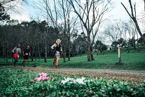 BIB: 
                            <button type="button" onclick="openModal(25226630)" class="btn btn-primary btn-sm float-right btn-popup" data-toggle="modal" data-target=".modal-high-quality">
                        <i class="fas fa-shopping-cart"></i> Add to Cart
                    </button>
                                            <button type="button" onclick="isThisMe(25226630, true)" class="btn btn-success btn-sm float-right btn-popup btn-isme hidden" data-toggle="tooltip" data-placement="bottom" title="นี่คือรูปของคุณใช่ไหม คลิกที่นี่เพื่อเอาเข้าอัลบั้ม">
                        <i class="fas fa-plus"></i> Add to album
                    </button>
                    <button type="button" onclick="isThisMe(25226630, false)" class="btn btn-warning btn-sm float-right btn-popup btn-isnotme hidden">
                        <i class="fas fa-ban"></i> Remove from album
                    </button>