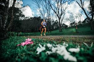 BIB: 
                            <button type="button" onclick="openModal(25226032)" class="btn btn-primary btn-sm float-right btn-popup" data-toggle="modal" data-target=".modal-high-quality">
                        <i class="fas fa-shopping-cart"></i> Add to Cart
                    </button>
                                            <button type="button" onclick="isThisMe(25226032, true)" class="btn btn-success btn-sm float-right btn-popup btn-isme hidden" data-toggle="tooltip" data-placement="bottom" title="นี่คือรูปของคุณใช่ไหม คลิกที่นี่เพื่อเอาเข้าอัลบั้ม">
                        <i class="fas fa-plus"></i> Add to album
                    </button>
                    <button type="button" onclick="isThisMe(25226032, false)" class="btn btn-warning btn-sm float-right btn-popup btn-isnotme hidden">
                        <i class="fas fa-ban"></i> Remove from album
                    </button>