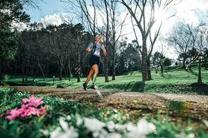 BIB: 
                            <button type="button" onclick="openModal(25227729)" class="btn btn-primary btn-sm float-right btn-popup" data-toggle="modal" data-target=".modal-high-quality">
                        <i class="fas fa-shopping-cart"></i> Add to Cart
                    </button>
                                            <button type="button" onclick="isThisMe(25227729, true)" class="btn btn-success btn-sm float-right btn-popup btn-isme hidden" data-toggle="tooltip" data-placement="bottom" title="นี่คือรูปของคุณใช่ไหม คลิกที่นี่เพื่อเอาเข้าอัลบั้ม">
                        <i class="fas fa-plus"></i> Add to album
                    </button>
                    <button type="button" onclick="isThisMe(25227729, false)" class="btn btn-warning btn-sm float-right btn-popup btn-isnotme hidden">
                        <i class="fas fa-ban"></i> Remove from album
                    </button>