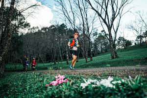 BIB: 
                            <button type="button" onclick="openModal(25225545)" class="btn btn-primary btn-sm float-right btn-popup" data-toggle="modal" data-target=".modal-high-quality">
                        <i class="fas fa-shopping-cart"></i> Add to Cart
                    </button>
                                            <button type="button" onclick="isThisMe(25225545, true)" class="btn btn-success btn-sm float-right btn-popup btn-isme hidden" data-toggle="tooltip" data-placement="bottom" title="นี่คือรูปของคุณใช่ไหม คลิกที่นี่เพื่อเอาเข้าอัลบั้ม">
                        <i class="fas fa-plus"></i> Add to album
                    </button>
                    <button type="button" onclick="isThisMe(25225545, false)" class="btn btn-warning btn-sm float-right btn-popup btn-isnotme hidden">
                        <i class="fas fa-ban"></i> Remove from album
                    </button>