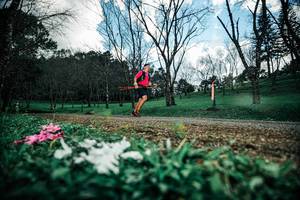 BIB: 
                            <button type="button" onclick="openModal(25226086)" class="btn btn-primary btn-sm float-right btn-popup" data-toggle="modal" data-target=".modal-high-quality">
                        <i class="fas fa-shopping-cart"></i> Add to Cart
                    </button>
                                            <button type="button" onclick="isThisMe(25226086, true)" class="btn btn-success btn-sm float-right btn-popup btn-isme hidden" data-toggle="tooltip" data-placement="bottom" title="นี่คือรูปของคุณใช่ไหม คลิกที่นี่เพื่อเอาเข้าอัลบั้ม">
                        <i class="fas fa-plus"></i> Add to album
                    </button>
                    <button type="button" onclick="isThisMe(25226086, false)" class="btn btn-warning btn-sm float-right btn-popup btn-isnotme hidden">
                        <i class="fas fa-ban"></i> Remove from album
                    </button>