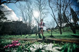 BIB: 
                            <button type="button" onclick="openModal(25228320)" class="btn btn-primary btn-sm float-right btn-popup" data-toggle="modal" data-target=".modal-high-quality">
                        <i class="fas fa-shopping-cart"></i> Add to Cart
                    </button>
                                            <button type="button" onclick="isThisMe(25228320, true)" class="btn btn-success btn-sm float-right btn-popup btn-isme hidden" data-toggle="tooltip" data-placement="bottom" title="นี่คือรูปของคุณใช่ไหม คลิกที่นี่เพื่อเอาเข้าอัลบั้ม">
                        <i class="fas fa-plus"></i> Add to album
                    </button>
                    <button type="button" onclick="isThisMe(25228320, false)" class="btn btn-warning btn-sm float-right btn-popup btn-isnotme hidden">
                        <i class="fas fa-ban"></i> Remove from album
                    </button>