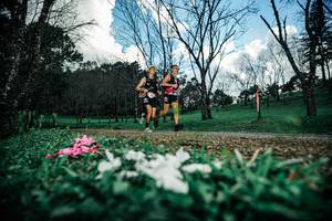 BIB: 
                            <button type="button" onclick="openModal(25226085)" class="btn btn-primary btn-sm float-right btn-popup" data-toggle="modal" data-target=".modal-high-quality">
                        <i class="fas fa-shopping-cart"></i> Add to Cart
                    </button>
                                            <button type="button" onclick="isThisMe(25226085, true)" class="btn btn-success btn-sm float-right btn-popup btn-isme hidden" data-toggle="tooltip" data-placement="bottom" title="นี่คือรูปของคุณใช่ไหม คลิกที่นี่เพื่อเอาเข้าอัลบั้ม">
                        <i class="fas fa-plus"></i> Add to album
                    </button>
                    <button type="button" onclick="isThisMe(25226085, false)" class="btn btn-warning btn-sm float-right btn-popup btn-isnotme hidden">
                        <i class="fas fa-ban"></i> Remove from album
                    </button>