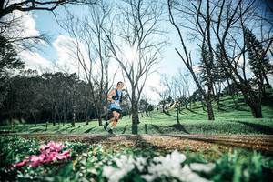 BIB: 
                            <button type="button" onclick="openModal(25228239)" class="btn btn-primary btn-sm float-right btn-popup" data-toggle="modal" data-target=".modal-high-quality">
                        <i class="fas fa-shopping-cart"></i> Add to Cart
                    </button>
                                            <button type="button" onclick="isThisMe(25228239, true)" class="btn btn-success btn-sm float-right btn-popup btn-isme hidden" data-toggle="tooltip" data-placement="bottom" title="นี่คือรูปของคุณใช่ไหม คลิกที่นี่เพื่อเอาเข้าอัลบั้ม">
                        <i class="fas fa-plus"></i> Add to album
                    </button>
                    <button type="button" onclick="isThisMe(25228239, false)" class="btn btn-warning btn-sm float-right btn-popup btn-isnotme hidden">
                        <i class="fas fa-ban"></i> Remove from album
                    </button>