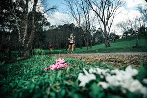 BIB: 
                            <button type="button" onclick="openModal(25226009)" class="btn btn-primary btn-sm float-right btn-popup" data-toggle="modal" data-target=".modal-high-quality">
                        <i class="fas fa-shopping-cart"></i> Add to Cart
                    </button>
                                            <button type="button" onclick="isThisMe(25226009, true)" class="btn btn-success btn-sm float-right btn-popup btn-isme hidden" data-toggle="tooltip" data-placement="bottom" title="นี่คือรูปของคุณใช่ไหม คลิกที่นี่เพื่อเอาเข้าอัลบั้ม">
                        <i class="fas fa-plus"></i> Add to album
                    </button>
                    <button type="button" onclick="isThisMe(25226009, false)" class="btn btn-warning btn-sm float-right btn-popup btn-isnotme hidden">
                        <i class="fas fa-ban"></i> Remove from album
                    </button>