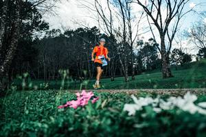 BIB: 
                            <button type="button" onclick="openModal(25225947)" class="btn btn-primary btn-sm float-right btn-popup" data-toggle="modal" data-target=".modal-high-quality">
                        <i class="fas fa-shopping-cart"></i> Add to Cart
                    </button>
                                            <button type="button" onclick="isThisMe(25225947, true)" class="btn btn-success btn-sm float-right btn-popup btn-isme hidden" data-toggle="tooltip" data-placement="bottom" title="นี่คือรูปของคุณใช่ไหม คลิกที่นี่เพื่อเอาเข้าอัลบั้ม">
                        <i class="fas fa-plus"></i> Add to album
                    </button>
                    <button type="button" onclick="isThisMe(25225947, false)" class="btn btn-warning btn-sm float-right btn-popup btn-isnotme hidden">
                        <i class="fas fa-ban"></i> Remove from album
                    </button>