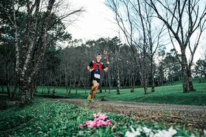 BIB: 
                            <button type="button" onclick="openModal(25225633)" class="btn btn-primary btn-sm float-right btn-popup" data-toggle="modal" data-target=".modal-high-quality">
                        <i class="fas fa-shopping-cart"></i> Add to Cart
                    </button>
                                            <button type="button" onclick="isThisMe(25225633, true)" class="btn btn-success btn-sm float-right btn-popup btn-isme hidden" data-toggle="tooltip" data-placement="bottom" title="นี่คือรูปของคุณใช่ไหม คลิกที่นี่เพื่อเอาเข้าอัลบั้ม">
                        <i class="fas fa-plus"></i> Add to album
                    </button>
                    <button type="button" onclick="isThisMe(25225633, false)" class="btn btn-warning btn-sm float-right btn-popup btn-isnotme hidden">
                        <i class="fas fa-ban"></i> Remove from album
                    </button>