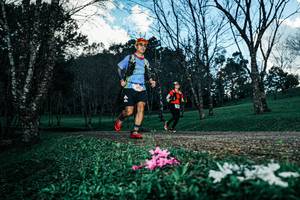 BIB: 
                            <button type="button" onclick="openModal(25225930)" class="btn btn-primary btn-sm float-right btn-popup" data-toggle="modal" data-target=".modal-high-quality">
                        <i class="fas fa-shopping-cart"></i> Add to Cart
                    </button>
                                            <button type="button" onclick="isThisMe(25225930, true)" class="btn btn-success btn-sm float-right btn-popup btn-isme hidden" data-toggle="tooltip" data-placement="bottom" title="นี่คือรูปของคุณใช่ไหม คลิกที่นี่เพื่อเอาเข้าอัลบั้ม">
                        <i class="fas fa-plus"></i> Add to album
                    </button>
                    <button type="button" onclick="isThisMe(25225930, false)" class="btn btn-warning btn-sm float-right btn-popup btn-isnotme hidden">
                        <i class="fas fa-ban"></i> Remove from album
                    </button>