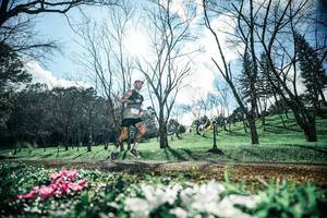 BIB: 
                            <button type="button" onclick="openModal(25228418)" class="btn btn-primary btn-sm float-right btn-popup" data-toggle="modal" data-target=".modal-high-quality">
                        <i class="fas fa-shopping-cart"></i> Add to Cart
                    </button>
                                            <button type="button" onclick="isThisMe(25228418, true)" class="btn btn-success btn-sm float-right btn-popup btn-isme hidden" data-toggle="tooltip" data-placement="bottom" title="นี่คือรูปของคุณใช่ไหม คลิกที่นี่เพื่อเอาเข้าอัลบั้ม">
                        <i class="fas fa-plus"></i> Add to album
                    </button>
                    <button type="button" onclick="isThisMe(25228418, false)" class="btn btn-warning btn-sm float-right btn-popup btn-isnotme hidden">
                        <i class="fas fa-ban"></i> Remove from album
                    </button>