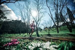 BIB: 
                            <button type="button" onclick="openModal(25228307)" class="btn btn-primary btn-sm float-right btn-popup" data-toggle="modal" data-target=".modal-high-quality">
                        <i class="fas fa-shopping-cart"></i> Add to Cart
                    </button>
                                            <button type="button" onclick="isThisMe(25228307, true)" class="btn btn-success btn-sm float-right btn-popup btn-isme hidden" data-toggle="tooltip" data-placement="bottom" title="นี่คือรูปของคุณใช่ไหม คลิกที่นี่เพื่อเอาเข้าอัลบั้ม">
                        <i class="fas fa-plus"></i> Add to album
                    </button>
                    <button type="button" onclick="isThisMe(25228307, false)" class="btn btn-warning btn-sm float-right btn-popup btn-isnotme hidden">
                        <i class="fas fa-ban"></i> Remove from album
                    </button>