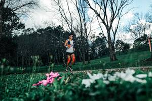 BIB: 
                            <button type="button" onclick="openModal(25225950)" class="btn btn-primary btn-sm float-right btn-popup" data-toggle="modal" data-target=".modal-high-quality">
                        <i class="fas fa-shopping-cart"></i> Add to Cart
                    </button>
                                            <button type="button" onclick="isThisMe(25225950, true)" class="btn btn-success btn-sm float-right btn-popup btn-isme hidden" data-toggle="tooltip" data-placement="bottom" title="นี่คือรูปของคุณใช่ไหม คลิกที่นี่เพื่อเอาเข้าอัลบั้ม">
                        <i class="fas fa-plus"></i> Add to album
                    </button>
                    <button type="button" onclick="isThisMe(25225950, false)" class="btn btn-warning btn-sm float-right btn-popup btn-isnotme hidden">
                        <i class="fas fa-ban"></i> Remove from album
                    </button>