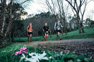 BIB: 
                            <button type="button" onclick="openModal(25225388)" class="btn btn-primary btn-sm float-right btn-popup" data-toggle="modal" data-target=".modal-high-quality">
                        <i class="fas fa-shopping-cart"></i> Add to Cart
                    </button>
                                            <button type="button" onclick="isThisMe(25225388, true)" class="btn btn-success btn-sm float-right btn-popup btn-isme hidden" data-toggle="tooltip" data-placement="bottom" title="นี่คือรูปของคุณใช่ไหม คลิกที่นี่เพื่อเอาเข้าอัลบั้ม">
                        <i class="fas fa-plus"></i> Add to album
                    </button>
                    <button type="button" onclick="isThisMe(25225388, false)" class="btn btn-warning btn-sm float-right btn-popup btn-isnotme hidden">
                        <i class="fas fa-ban"></i> Remove from album
                    </button>