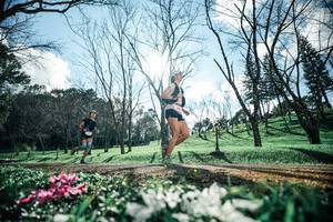 BIB: 
                            <button type="button" onclick="openModal(25228249)" class="btn btn-primary btn-sm float-right btn-popup" data-toggle="modal" data-target=".modal-high-quality">
                        <i class="fas fa-shopping-cart"></i> Add to Cart
                    </button>
                                            <button type="button" onclick="isThisMe(25228249, true)" class="btn btn-success btn-sm float-right btn-popup btn-isme hidden" data-toggle="tooltip" data-placement="bottom" title="นี่คือรูปของคุณใช่ไหม คลิกที่นี่เพื่อเอาเข้าอัลบั้ม">
                        <i class="fas fa-plus"></i> Add to album
                    </button>
                    <button type="button" onclick="isThisMe(25228249, false)" class="btn btn-warning btn-sm float-right btn-popup btn-isnotme hidden">
                        <i class="fas fa-ban"></i> Remove from album
                    </button>