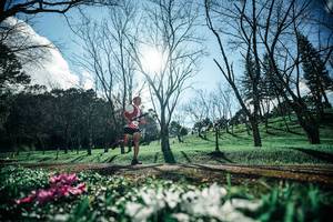 BIB: 
                            <button type="button" onclick="openModal(25228314)" class="btn btn-primary btn-sm float-right btn-popup" data-toggle="modal" data-target=".modal-high-quality">
                        <i class="fas fa-shopping-cart"></i> Add to Cart
                    </button>
                                            <button type="button" onclick="isThisMe(25228314, true)" class="btn btn-success btn-sm float-right btn-popup btn-isme hidden" data-toggle="tooltip" data-placement="bottom" title="นี่คือรูปของคุณใช่ไหม คลิกที่นี่เพื่อเอาเข้าอัลบั้ม">
                        <i class="fas fa-plus"></i> Add to album
                    </button>
                    <button type="button" onclick="isThisMe(25228314, false)" class="btn btn-warning btn-sm float-right btn-popup btn-isnotme hidden">
                        <i class="fas fa-ban"></i> Remove from album
                    </button>