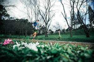 BIB: 
                            <button type="button" onclick="openModal(25227377)" class="btn btn-primary btn-sm float-right btn-popup" data-toggle="modal" data-target=".modal-high-quality">
                        <i class="fas fa-shopping-cart"></i> Add to Cart
                    </button>
                                            <button type="button" onclick="isThisMe(25227377, true)" class="btn btn-success btn-sm float-right btn-popup btn-isme hidden" data-toggle="tooltip" data-placement="bottom" title="นี่คือรูปของคุณใช่ไหม คลิกที่นี่เพื่อเอาเข้าอัลบั้ม">
                        <i class="fas fa-plus"></i> Add to album
                    </button>
                    <button type="button" onclick="isThisMe(25227377, false)" class="btn btn-warning btn-sm float-right btn-popup btn-isnotme hidden">
                        <i class="fas fa-ban"></i> Remove from album
                    </button>