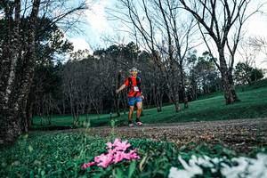 BIB: 
                            <button type="button" onclick="openModal(25225459)" class="btn btn-primary btn-sm float-right btn-popup" data-toggle="modal" data-target=".modal-high-quality">
                        <i class="fas fa-shopping-cart"></i> Add to Cart
                    </button>
                                            <button type="button" onclick="isThisMe(25225459, true)" class="btn btn-success btn-sm float-right btn-popup btn-isme hidden" data-toggle="tooltip" data-placement="bottom" title="นี่คือรูปของคุณใช่ไหม คลิกที่นี่เพื่อเอาเข้าอัลบั้ม">
                        <i class="fas fa-plus"></i> Add to album
                    </button>
                    <button type="button" onclick="isThisMe(25225459, false)" class="btn btn-warning btn-sm float-right btn-popup btn-isnotme hidden">
                        <i class="fas fa-ban"></i> Remove from album
                    </button>