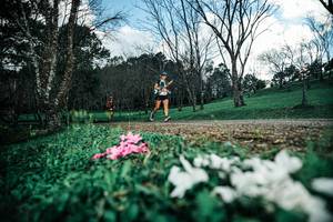 BIB: 
                            <button type="button" onclick="openModal(25226007)" class="btn btn-primary btn-sm float-right btn-popup" data-toggle="modal" data-target=".modal-high-quality">
                        <i class="fas fa-shopping-cart"></i> Add to Cart
                    </button>
                                            <button type="button" onclick="isThisMe(25226007, true)" class="btn btn-success btn-sm float-right btn-popup btn-isme hidden" data-toggle="tooltip" data-placement="bottom" title="นี่คือรูปของคุณใช่ไหม คลิกที่นี่เพื่อเอาเข้าอัลบั้ม">
                        <i class="fas fa-plus"></i> Add to album
                    </button>
                    <button type="button" onclick="isThisMe(25226007, false)" class="btn btn-warning btn-sm float-right btn-popup btn-isnotme hidden">
                        <i class="fas fa-ban"></i> Remove from album
                    </button>