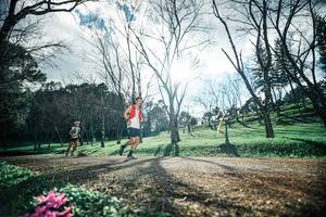 BIB: 
                            <button type="button" onclick="openModal(25227986)" class="btn btn-primary btn-sm float-right btn-popup" data-toggle="modal" data-target=".modal-high-quality">
                        <i class="fas fa-shopping-cart"></i> Add to Cart
                    </button>
                                            <button type="button" onclick="isThisMe(25227986, true)" class="btn btn-success btn-sm float-right btn-popup btn-isme hidden" data-toggle="tooltip" data-placement="bottom" title="นี่คือรูปของคุณใช่ไหม คลิกที่นี่เพื่อเอาเข้าอัลบั้ม">
                        <i class="fas fa-plus"></i> Add to album
                    </button>
                    <button type="button" onclick="isThisMe(25227986, false)" class="btn btn-warning btn-sm float-right btn-popup btn-isnotme hidden">
                        <i class="fas fa-ban"></i> Remove from album
                    </button>