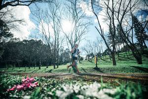 BIB: 
                            <button type="button" onclick="openModal(25228332)" class="btn btn-primary btn-sm float-right btn-popup" data-toggle="modal" data-target=".modal-high-quality">
                        <i class="fas fa-shopping-cart"></i> Add to Cart
                    </button>
                                            <button type="button" onclick="isThisMe(25228332, true)" class="btn btn-success btn-sm float-right btn-popup btn-isme hidden" data-toggle="tooltip" data-placement="bottom" title="นี่คือรูปของคุณใช่ไหม คลิกที่นี่เพื่อเอาเข้าอัลบั้ม">
                        <i class="fas fa-plus"></i> Add to album
                    </button>
                    <button type="button" onclick="isThisMe(25228332, false)" class="btn btn-warning btn-sm float-right btn-popup btn-isnotme hidden">
                        <i class="fas fa-ban"></i> Remove from album
                    </button>