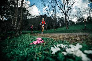 BIB: 
                            <button type="button" onclick="openModal(25226049)" class="btn btn-primary btn-sm float-right btn-popup" data-toggle="modal" data-target=".modal-high-quality">
                        <i class="fas fa-shopping-cart"></i> Add to Cart
                    </button>
                                            <button type="button" onclick="isThisMe(25226049, true)" class="btn btn-success btn-sm float-right btn-popup btn-isme hidden" data-toggle="tooltip" data-placement="bottom" title="นี่คือรูปของคุณใช่ไหม คลิกที่นี่เพื่อเอาเข้าอัลบั้ม">
                        <i class="fas fa-plus"></i> Add to album
                    </button>
                    <button type="button" onclick="isThisMe(25226049, false)" class="btn btn-warning btn-sm float-right btn-popup btn-isnotme hidden">
                        <i class="fas fa-ban"></i> Remove from album
                    </button>