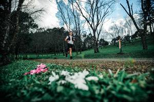 BIB: 
                            <button type="button" onclick="openModal(25226075)" class="btn btn-primary btn-sm float-right btn-popup" data-toggle="modal" data-target=".modal-high-quality">
                        <i class="fas fa-shopping-cart"></i> Add to Cart
                    </button>
                                            <button type="button" onclick="isThisMe(25226075, true)" class="btn btn-success btn-sm float-right btn-popup btn-isme hidden" data-toggle="tooltip" data-placement="bottom" title="นี่คือรูปของคุณใช่ไหม คลิกที่นี่เพื่อเอาเข้าอัลบั้ม">
                        <i class="fas fa-plus"></i> Add to album
                    </button>
                    <button type="button" onclick="isThisMe(25226075, false)" class="btn btn-warning btn-sm float-right btn-popup btn-isnotme hidden">
                        <i class="fas fa-ban"></i> Remove from album
                    </button>