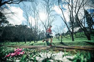 BIB: 
                            <button type="button" onclick="openModal(25228342)" class="btn btn-primary btn-sm float-right btn-popup" data-toggle="modal" data-target=".modal-high-quality">
                        <i class="fas fa-shopping-cart"></i> Add to Cart
                    </button>
                                            <button type="button" onclick="isThisMe(25228342, true)" class="btn btn-success btn-sm float-right btn-popup btn-isme hidden" data-toggle="tooltip" data-placement="bottom" title="นี่คือรูปของคุณใช่ไหม คลิกที่นี่เพื่อเอาเข้าอัลบั้ม">
                        <i class="fas fa-plus"></i> Add to album
                    </button>
                    <button type="button" onclick="isThisMe(25228342, false)" class="btn btn-warning btn-sm float-right btn-popup btn-isnotme hidden">
                        <i class="fas fa-ban"></i> Remove from album
                    </button>