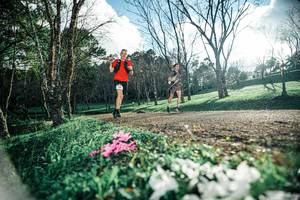 BIB: 
                            <button type="button" onclick="openModal(25226799)" class="btn btn-primary btn-sm float-right btn-popup" data-toggle="modal" data-target=".modal-high-quality">
                        <i class="fas fa-shopping-cart"></i> Add to Cart
                    </button>
                                            <button type="button" onclick="isThisMe(25226799, true)" class="btn btn-success btn-sm float-right btn-popup btn-isme hidden" data-toggle="tooltip" data-placement="bottom" title="นี่คือรูปของคุณใช่ไหม คลิกที่นี่เพื่อเอาเข้าอัลบั้ม">
                        <i class="fas fa-plus"></i> Add to album
                    </button>
                    <button type="button" onclick="isThisMe(25226799, false)" class="btn btn-warning btn-sm float-right btn-popup btn-isnotme hidden">
                        <i class="fas fa-ban"></i> Remove from album
                    </button>