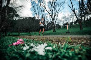 BIB: 
                            <button type="button" onclick="openModal(25226094)" class="btn btn-primary btn-sm float-right btn-popup" data-toggle="modal" data-target=".modal-high-quality">
                        <i class="fas fa-shopping-cart"></i> Add to Cart
                    </button>
                                            <button type="button" onclick="isThisMe(25226094, true)" class="btn btn-success btn-sm float-right btn-popup btn-isme hidden" data-toggle="tooltip" data-placement="bottom" title="นี่คือรูปของคุณใช่ไหม คลิกที่นี่เพื่อเอาเข้าอัลบั้ม">
                        <i class="fas fa-plus"></i> Add to album
                    </button>
                    <button type="button" onclick="isThisMe(25226094, false)" class="btn btn-warning btn-sm float-right btn-popup btn-isnotme hidden">
                        <i class="fas fa-ban"></i> Remove from album
                    </button>