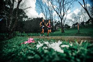 BIB: 
                            <button type="button" onclick="openModal(25226072)" class="btn btn-primary btn-sm float-right btn-popup" data-toggle="modal" data-target=".modal-high-quality">
                        <i class="fas fa-shopping-cart"></i> Add to Cart
                    </button>
                                            <button type="button" onclick="isThisMe(25226072, true)" class="btn btn-success btn-sm float-right btn-popup btn-isme hidden" data-toggle="tooltip" data-placement="bottom" title="นี่คือรูปของคุณใช่ไหม คลิกที่นี่เพื่อเอาเข้าอัลบั้ม">
                        <i class="fas fa-plus"></i> Add to album
                    </button>
                    <button type="button" onclick="isThisMe(25226072, false)" class="btn btn-warning btn-sm float-right btn-popup btn-isnotme hidden">
                        <i class="fas fa-ban"></i> Remove from album
                    </button>