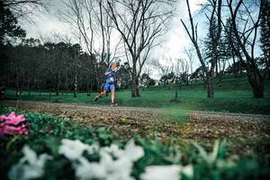 BIB: 
                            <button type="button" onclick="openModal(25227100)" class="btn btn-primary btn-sm float-right btn-popup" data-toggle="modal" data-target=".modal-high-quality">
                        <i class="fas fa-shopping-cart"></i> Add to Cart
                    </button>
                                            <button type="button" onclick="isThisMe(25227100, true)" class="btn btn-success btn-sm float-right btn-popup btn-isme hidden" data-toggle="tooltip" data-placement="bottom" title="นี่คือรูปของคุณใช่ไหม คลิกที่นี่เพื่อเอาเข้าอัลบั้ม">
                        <i class="fas fa-plus"></i> Add to album
                    </button>
                    <button type="button" onclick="isThisMe(25227100, false)" class="btn btn-warning btn-sm float-right btn-popup btn-isnotme hidden">
                        <i class="fas fa-ban"></i> Remove from album
                    </button>