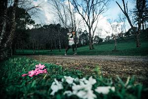 BIB: 
                            <button type="button" onclick="openModal(25225966)" class="btn btn-primary btn-sm float-right btn-popup" data-toggle="modal" data-target=".modal-high-quality">
                        <i class="fas fa-shopping-cart"></i> Add to Cart
                    </button>
                                            <button type="button" onclick="isThisMe(25225966, true)" class="btn btn-success btn-sm float-right btn-popup btn-isme hidden" data-toggle="tooltip" data-placement="bottom" title="นี่คือรูปของคุณใช่ไหม คลิกที่นี่เพื่อเอาเข้าอัลบั้ม">
                        <i class="fas fa-plus"></i> Add to album
                    </button>
                    <button type="button" onclick="isThisMe(25225966, false)" class="btn btn-warning btn-sm float-right btn-popup btn-isnotme hidden">
                        <i class="fas fa-ban"></i> Remove from album
                    </button>