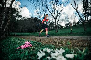 BIB: 
                            <button type="button" onclick="openModal(25226034)" class="btn btn-primary btn-sm float-right btn-popup" data-toggle="modal" data-target=".modal-high-quality">
                        <i class="fas fa-shopping-cart"></i> Add to Cart
                    </button>
                                            <button type="button" onclick="isThisMe(25226034, true)" class="btn btn-success btn-sm float-right btn-popup btn-isme hidden" data-toggle="tooltip" data-placement="bottom" title="นี่คือรูปของคุณใช่ไหม คลิกที่นี่เพื่อเอาเข้าอัลบั้ม">
                        <i class="fas fa-plus"></i> Add to album
                    </button>
                    <button type="button" onclick="isThisMe(25226034, false)" class="btn btn-warning btn-sm float-right btn-popup btn-isnotme hidden">
                        <i class="fas fa-ban"></i> Remove from album
                    </button>