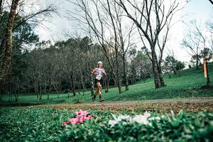 BIB: 
                            <button type="button" onclick="openModal(25225757)" class="btn btn-primary btn-sm float-right btn-popup" data-toggle="modal" data-target=".modal-high-quality">
                        <i class="fas fa-shopping-cart"></i> Add to Cart
                    </button>
                                            <button type="button" onclick="isThisMe(25225757, true)" class="btn btn-success btn-sm float-right btn-popup btn-isme hidden" data-toggle="tooltip" data-placement="bottom" title="นี่คือรูปของคุณใช่ไหม คลิกที่นี่เพื่อเอาเข้าอัลบั้ม">
                        <i class="fas fa-plus"></i> Add to album
                    </button>
                    <button type="button" onclick="isThisMe(25225757, false)" class="btn btn-warning btn-sm float-right btn-popup btn-isnotme hidden">
                        <i class="fas fa-ban"></i> Remove from album
                    </button>