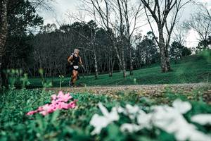 BIB: 
                            <button type="button" onclick="openModal(25226303)" class="btn btn-primary btn-sm float-right btn-popup" data-toggle="modal" data-target=".modal-high-quality">
                        <i class="fas fa-shopping-cart"></i> Add to Cart
                    </button>
                                            <button type="button" onclick="isThisMe(25226303, true)" class="btn btn-success btn-sm float-right btn-popup btn-isme hidden" data-toggle="tooltip" data-placement="bottom" title="นี่คือรูปของคุณใช่ไหม คลิกที่นี่เพื่อเอาเข้าอัลบั้ม">
                        <i class="fas fa-plus"></i> Add to album
                    </button>
                    <button type="button" onclick="isThisMe(25226303, false)" class="btn btn-warning btn-sm float-right btn-popup btn-isnotme hidden">
                        <i class="fas fa-ban"></i> Remove from album
                    </button>