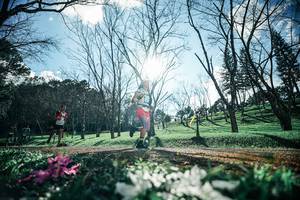 BIB: 
                            <button type="button" onclick="openModal(25228139)" class="btn btn-primary btn-sm float-right btn-popup" data-toggle="modal" data-target=".modal-high-quality">
                        <i class="fas fa-shopping-cart"></i> Add to Cart
                    </button>
                                            <button type="button" onclick="isThisMe(25228139, true)" class="btn btn-success btn-sm float-right btn-popup btn-isme hidden" data-toggle="tooltip" data-placement="bottom" title="นี่คือรูปของคุณใช่ไหม คลิกที่นี่เพื่อเอาเข้าอัลบั้ม">
                        <i class="fas fa-plus"></i> Add to album
                    </button>
                    <button type="button" onclick="isThisMe(25228139, false)" class="btn btn-warning btn-sm float-right btn-popup btn-isnotme hidden">
                        <i class="fas fa-ban"></i> Remove from album
                    </button>