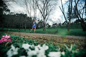 BIB: 
                            <button type="button" onclick="openModal(25227130)" class="btn btn-primary btn-sm float-right btn-popup" data-toggle="modal" data-target=".modal-high-quality">
                        <i class="fas fa-shopping-cart"></i> Add to Cart
                    </button>
                                            <button type="button" onclick="isThisMe(25227130, true)" class="btn btn-success btn-sm float-right btn-popup btn-isme hidden" data-toggle="tooltip" data-placement="bottom" title="นี่คือรูปของคุณใช่ไหม คลิกที่นี่เพื่อเอาเข้าอัลบั้ม">
                        <i class="fas fa-plus"></i> Add to album
                    </button>
                    <button type="button" onclick="isThisMe(25227130, false)" class="btn btn-warning btn-sm float-right btn-popup btn-isnotme hidden">
                        <i class="fas fa-ban"></i> Remove from album
                    </button>