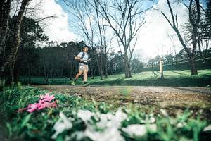 BIB: 
                            <button type="button" onclick="openModal(25226669)" class="btn btn-primary btn-sm float-right btn-popup" data-toggle="modal" data-target=".modal-high-quality">
                        <i class="fas fa-shopping-cart"></i> Add to Cart
                    </button>
                                            <button type="button" onclick="isThisMe(25226669, true)" class="btn btn-success btn-sm float-right btn-popup btn-isme hidden" data-toggle="tooltip" data-placement="bottom" title="นี่คือรูปของคุณใช่ไหม คลิกที่นี่เพื่อเอาเข้าอัลบั้ม">
                        <i class="fas fa-plus"></i> Add to album
                    </button>
                    <button type="button" onclick="isThisMe(25226669, false)" class="btn btn-warning btn-sm float-right btn-popup btn-isnotme hidden">
                        <i class="fas fa-ban"></i> Remove from album
                    </button>