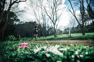 BIB: 
                            <button type="button" onclick="openModal(25226951)" class="btn btn-primary btn-sm float-right btn-popup" data-toggle="modal" data-target=".modal-high-quality">
                        <i class="fas fa-shopping-cart"></i> Add to Cart
                    </button>
                                            <button type="button" onclick="isThisMe(25226951, true)" class="btn btn-success btn-sm float-right btn-popup btn-isme hidden" data-toggle="tooltip" data-placement="bottom" title="นี่คือรูปของคุณใช่ไหม คลิกที่นี่เพื่อเอาเข้าอัลบั้ม">
                        <i class="fas fa-plus"></i> Add to album
                    </button>
                    <button type="button" onclick="isThisMe(25226951, false)" class="btn btn-warning btn-sm float-right btn-popup btn-isnotme hidden">
                        <i class="fas fa-ban"></i> Remove from album
                    </button>