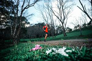 BIB: 
                            <button type="button" onclick="openModal(25225439)" class="btn btn-primary btn-sm float-right btn-popup" data-toggle="modal" data-target=".modal-high-quality">
                        <i class="fas fa-shopping-cart"></i> Add to Cart
                    </button>
                                            <button type="button" onclick="isThisMe(25225439, true)" class="btn btn-success btn-sm float-right btn-popup btn-isme hidden" data-toggle="tooltip" data-placement="bottom" title="นี่คือรูปของคุณใช่ไหม คลิกที่นี่เพื่อเอาเข้าอัลบั้ม">
                        <i class="fas fa-plus"></i> Add to album
                    </button>
                    <button type="button" onclick="isThisMe(25225439, false)" class="btn btn-warning btn-sm float-right btn-popup btn-isnotme hidden">
                        <i class="fas fa-ban"></i> Remove from album
                    </button>