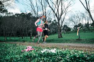 BIB: 
                            <button type="button" onclick="openModal(25226575)" class="btn btn-primary btn-sm float-right btn-popup" data-toggle="modal" data-target=".modal-high-quality">
                        <i class="fas fa-shopping-cart"></i> Add to Cart
                    </button>
                                            <button type="button" onclick="isThisMe(25226575, true)" class="btn btn-success btn-sm float-right btn-popup btn-isme hidden" data-toggle="tooltip" data-placement="bottom" title="นี่คือรูปของคุณใช่ไหม คลิกที่นี่เพื่อเอาเข้าอัลบั้ม">
                        <i class="fas fa-plus"></i> Add to album
                    </button>
                    <button type="button" onclick="isThisMe(25226575, false)" class="btn btn-warning btn-sm float-right btn-popup btn-isnotme hidden">
                        <i class="fas fa-ban"></i> Remove from album
                    </button>