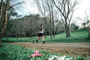 BIB: 
                            <button type="button" onclick="openModal(25225780)" class="btn btn-primary btn-sm float-right btn-popup" data-toggle="modal" data-target=".modal-high-quality">
                        <i class="fas fa-shopping-cart"></i> Add to Cart
                    </button>
                                            <button type="button" onclick="isThisMe(25225780, true)" class="btn btn-success btn-sm float-right btn-popup btn-isme hidden" data-toggle="tooltip" data-placement="bottom" title="นี่คือรูปของคุณใช่ไหม คลิกที่นี่เพื่อเอาเข้าอัลบั้ม">
                        <i class="fas fa-plus"></i> Add to album
                    </button>
                    <button type="button" onclick="isThisMe(25225780, false)" class="btn btn-warning btn-sm float-right btn-popup btn-isnotme hidden">
                        <i class="fas fa-ban"></i> Remove from album
                    </button>