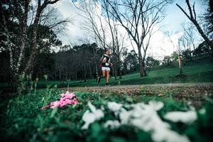 BIB: 
                            <button type="button" onclick="openModal(25225967)" class="btn btn-primary btn-sm float-right btn-popup" data-toggle="modal" data-target=".modal-high-quality">
                        <i class="fas fa-shopping-cart"></i> Add to Cart
                    </button>
                                            <button type="button" onclick="isThisMe(25225967, true)" class="btn btn-success btn-sm float-right btn-popup btn-isme hidden" data-toggle="tooltip" data-placement="bottom" title="นี่คือรูปของคุณใช่ไหม คลิกที่นี่เพื่อเอาเข้าอัลบั้ม">
                        <i class="fas fa-plus"></i> Add to album
                    </button>
                    <button type="button" onclick="isThisMe(25225967, false)" class="btn btn-warning btn-sm float-right btn-popup btn-isnotme hidden">
                        <i class="fas fa-ban"></i> Remove from album
                    </button>