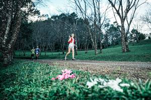 BIB: 
                            <button type="button" onclick="openModal(25225918)" class="btn btn-primary btn-sm float-right btn-popup" data-toggle="modal" data-target=".modal-high-quality">
                        <i class="fas fa-shopping-cart"></i> Add to Cart
                    </button>
                                            <button type="button" onclick="isThisMe(25225918, true)" class="btn btn-success btn-sm float-right btn-popup btn-isme hidden" data-toggle="tooltip" data-placement="bottom" title="นี่คือรูปของคุณใช่ไหม คลิกที่นี่เพื่อเอาเข้าอัลบั้ม">
                        <i class="fas fa-plus"></i> Add to album
                    </button>
                    <button type="button" onclick="isThisMe(25225918, false)" class="btn btn-warning btn-sm float-right btn-popup btn-isnotme hidden">
                        <i class="fas fa-ban"></i> Remove from album
                    </button>