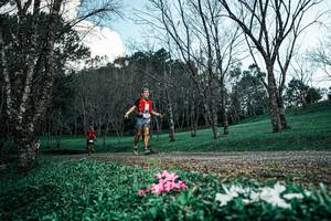 BIB: 
                            <button type="button" onclick="openModal(25225531)" class="btn btn-primary btn-sm float-right btn-popup" data-toggle="modal" data-target=".modal-high-quality">
                        <i class="fas fa-shopping-cart"></i> Add to Cart
                    </button>
                                            <button type="button" onclick="isThisMe(25225531, true)" class="btn btn-success btn-sm float-right btn-popup btn-isme hidden" data-toggle="tooltip" data-placement="bottom" title="นี่คือรูปของคุณใช่ไหม คลิกที่นี่เพื่อเอาเข้าอัลบั้ม">
                        <i class="fas fa-plus"></i> Add to album
                    </button>
                    <button type="button" onclick="isThisMe(25225531, false)" class="btn btn-warning btn-sm float-right btn-popup btn-isnotme hidden">
                        <i class="fas fa-ban"></i> Remove from album
                    </button>