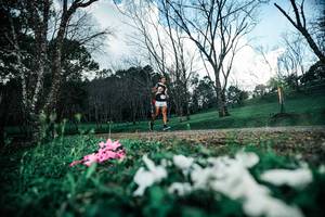 BIB: 
                            <button type="button" onclick="openModal(25225958)" class="btn btn-primary btn-sm float-right btn-popup" data-toggle="modal" data-target=".modal-high-quality">
                        <i class="fas fa-shopping-cart"></i> Add to Cart
                    </button>
                                            <button type="button" onclick="isThisMe(25225958, true)" class="btn btn-success btn-sm float-right btn-popup btn-isme hidden" data-toggle="tooltip" data-placement="bottom" title="นี่คือรูปของคุณใช่ไหม คลิกที่นี่เพื่อเอาเข้าอัลบั้ม">
                        <i class="fas fa-plus"></i> Add to album
                    </button>
                    <button type="button" onclick="isThisMe(25225958, false)" class="btn btn-warning btn-sm float-right btn-popup btn-isnotme hidden">
                        <i class="fas fa-ban"></i> Remove from album
                    </button>